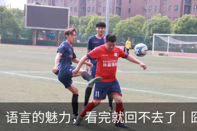 语言的魅力，看完就回不去了丨囧图集